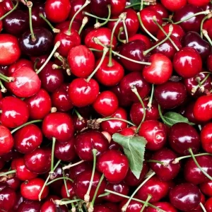 CHERRY USA 1KG